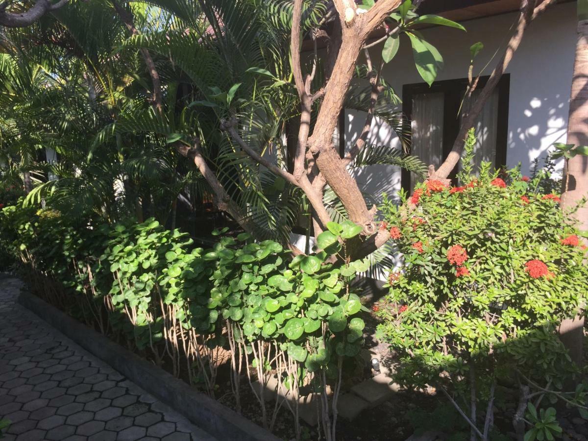 Scuba Tribe Bali Dive-Resort Tulamben  Exterior photo
